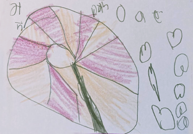 絵本 コロネのおしりはどっち？ みんなのコロネ