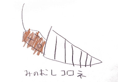 絵本 コロネのおしりはどっち？ みんなのコロネ