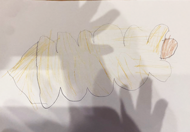 絵本 コロネのおしりはどっち？ みんなのコロネ