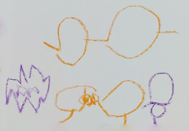 絵本 コロネのおしりはどっち？ みんなのコロネ