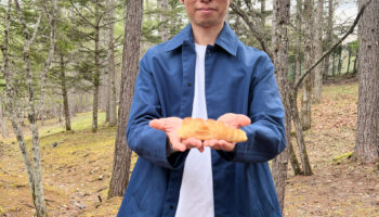 絵本読み聞かせ,絵本人気,読み聞かせ絵本,絵本おすすめ,絵本作家,絵本作家になるには,コロネのおしりはどっち？